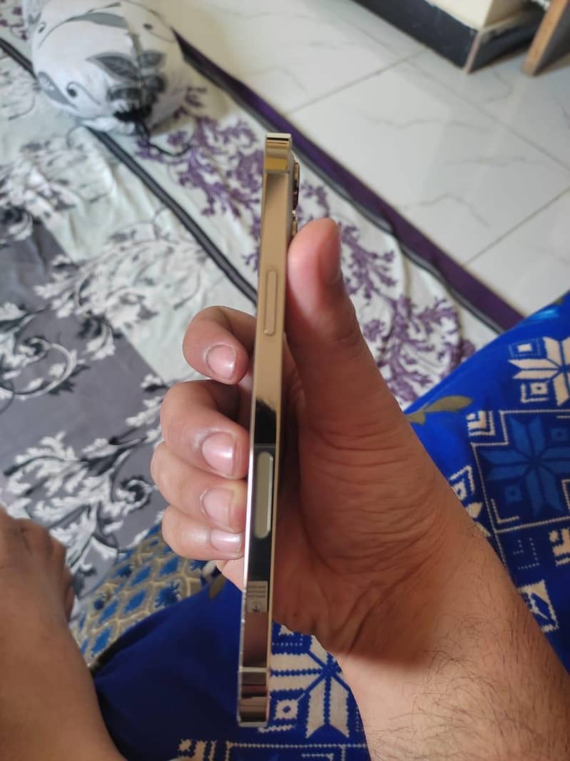 Apple iPhone 12 Pro Max 1