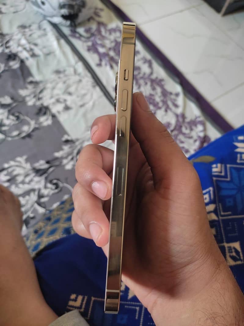 Apple iPhone 12 Pro Max 3