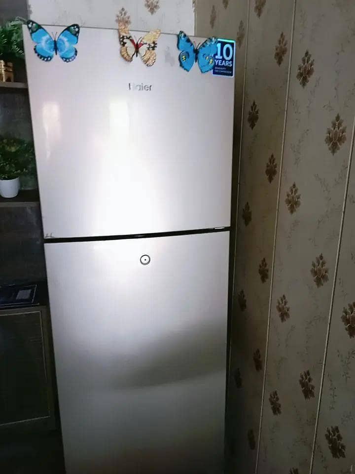 only one year use 3