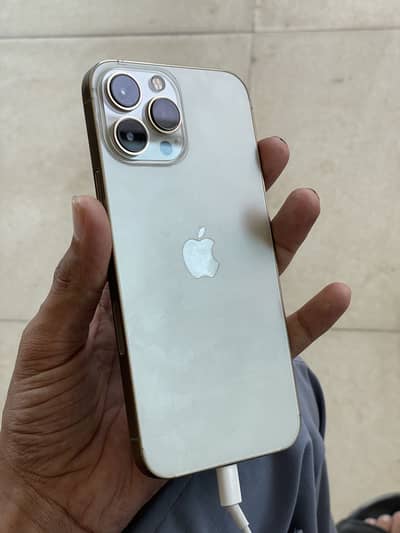 Apple iPhone 13 Pro Max Golden Bypass