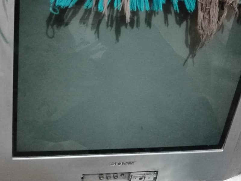 simple tv for 5000 2