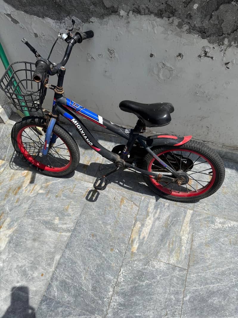 Kids Cycle 0