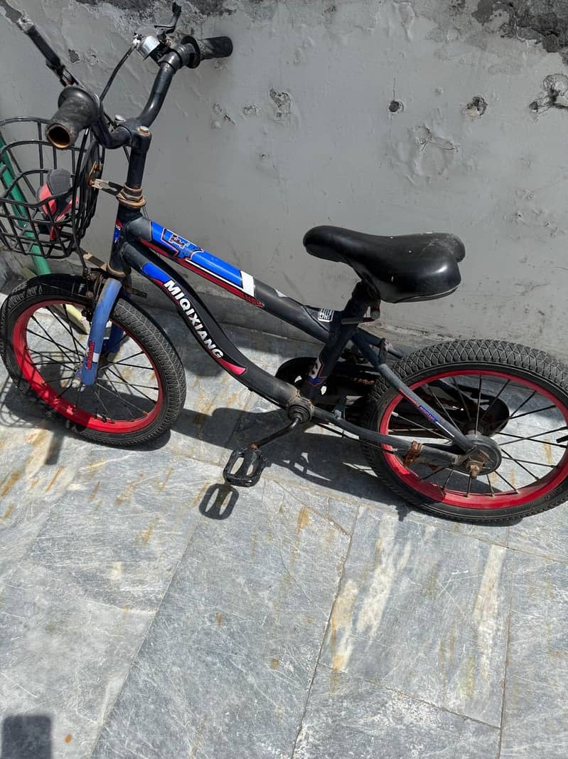 Kids Cycle 1