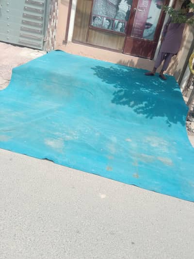 Carpet For Sale