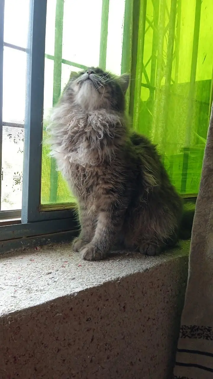 i want to sal — photo 2