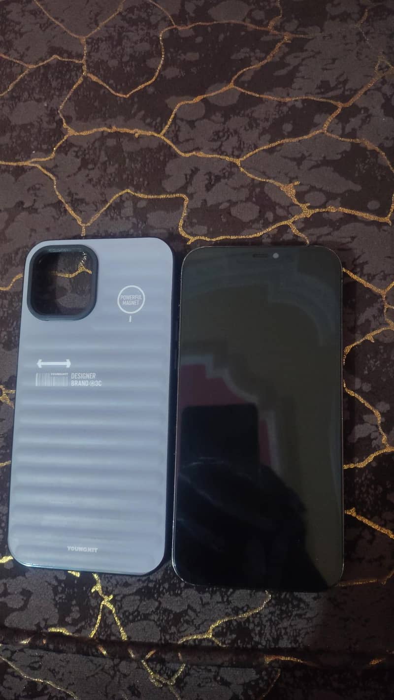 Apple iPhone 12 Pro Max 2