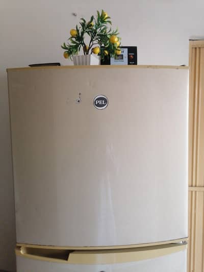 Pel Refrigerator for Sale