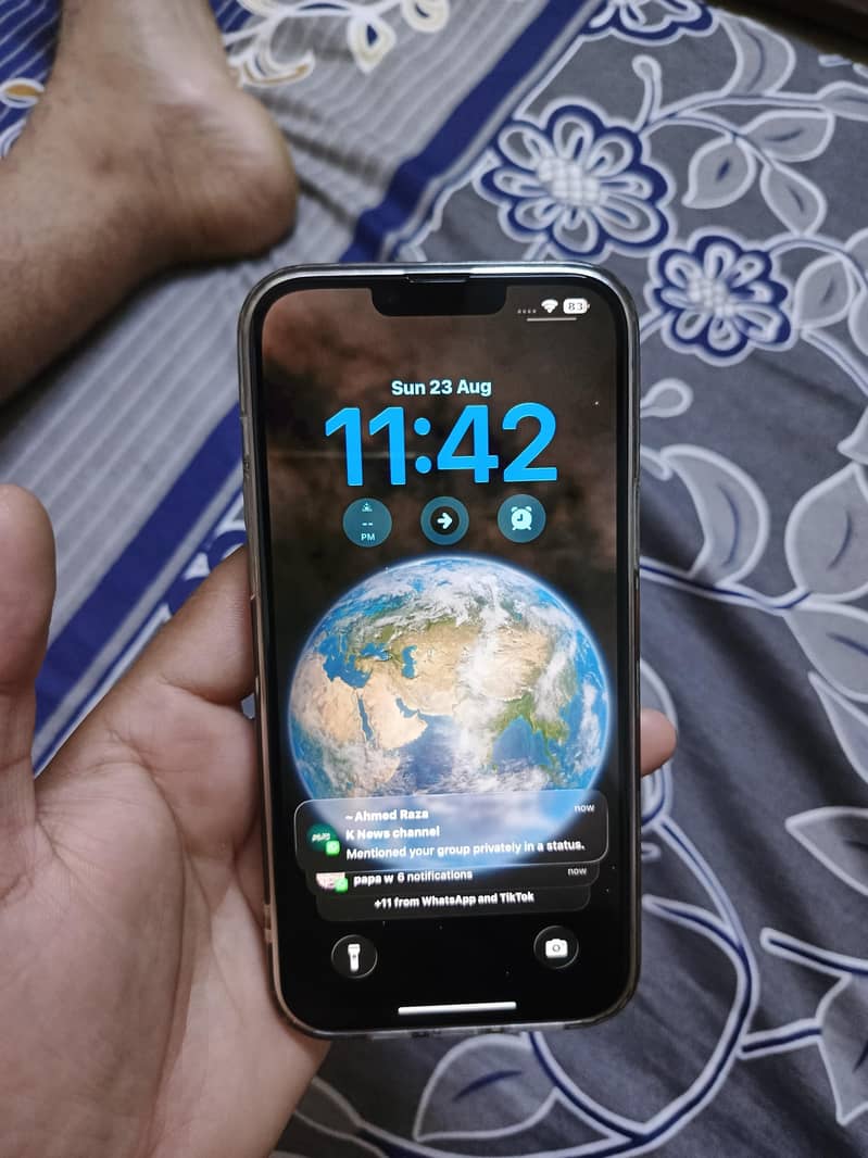 Apple iPhone 13 Pro Max 1