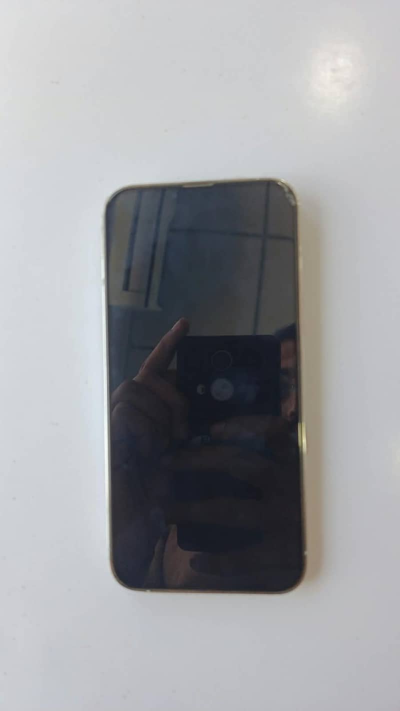 Apple iPhone 13 Pro Max 1