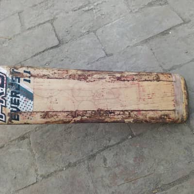 cricket bat