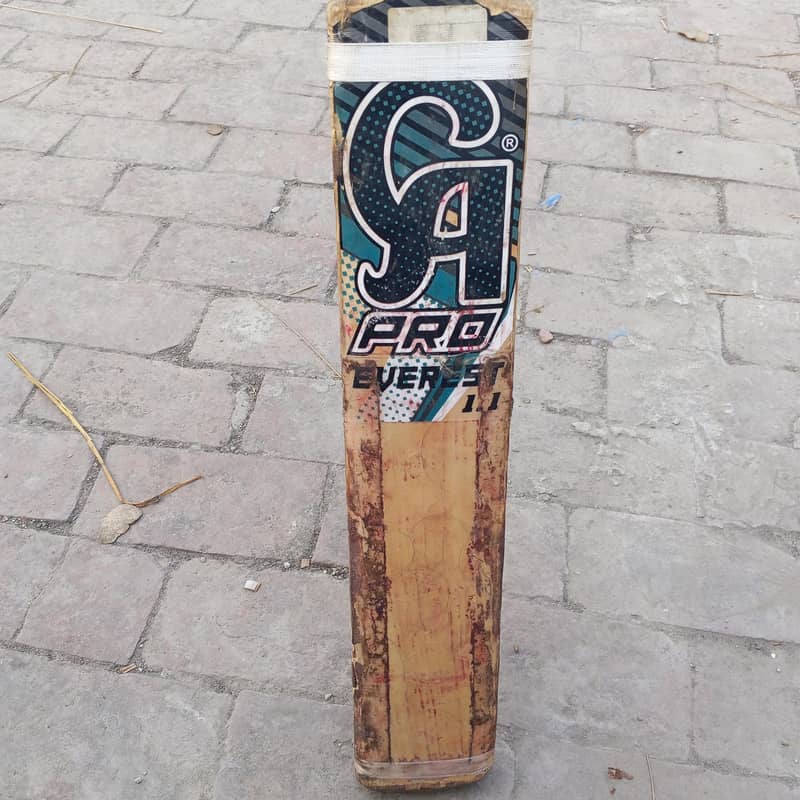 cricket bat 1