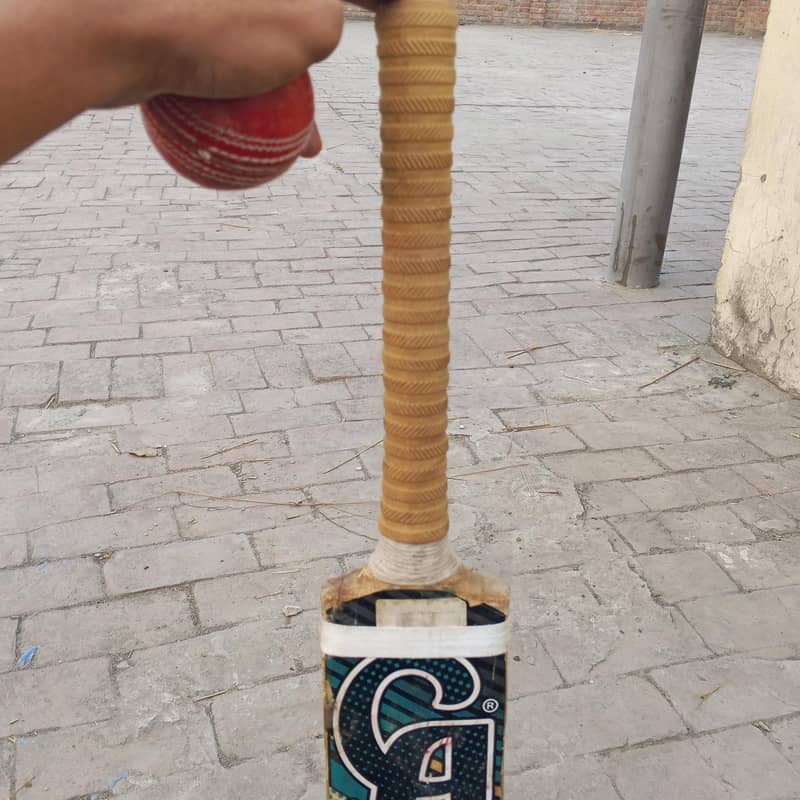 cricket bat 2