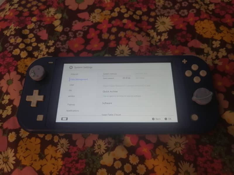 Nintendo Switch Lite 3