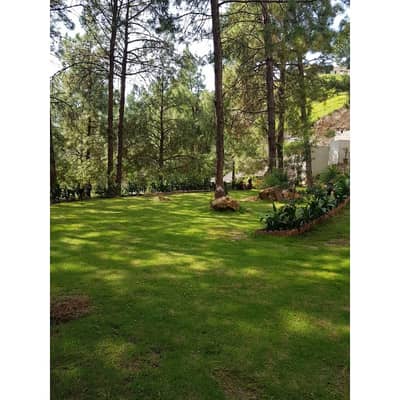 Ideally Located Commercial Plot For sale In Dhamtor Bypass Road Abbottabad Available