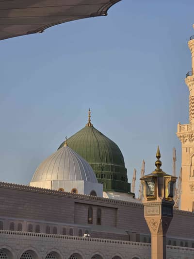 romail tarar 