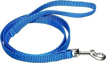 Leash for Small Dogs