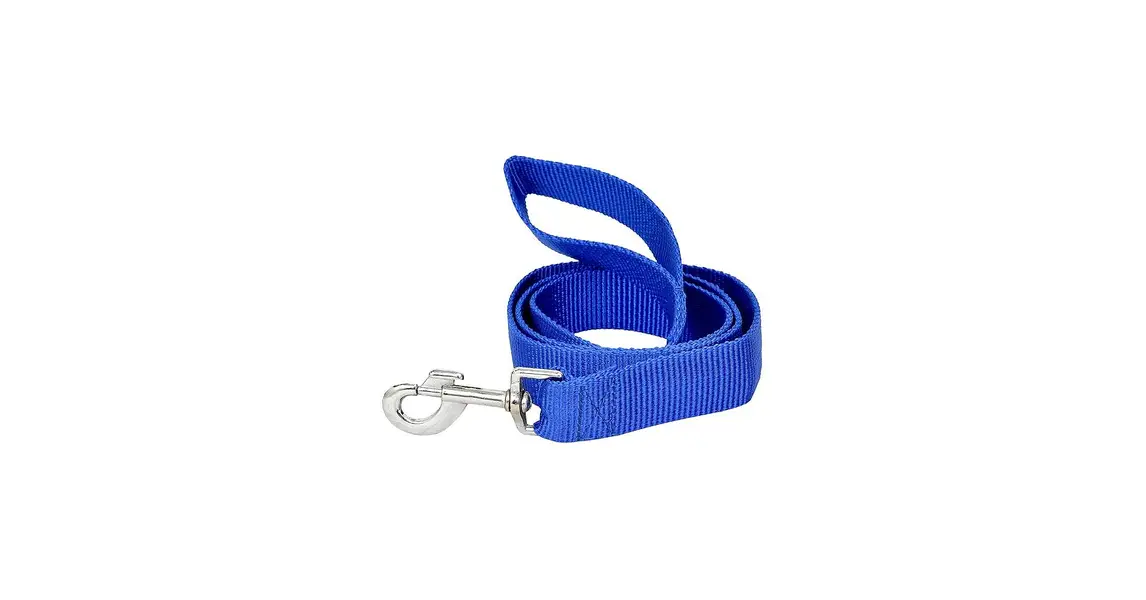 Leash for Small Dogs — photo 3