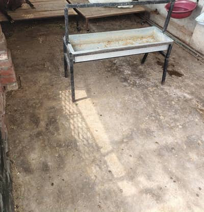 2 kurliyan for sale