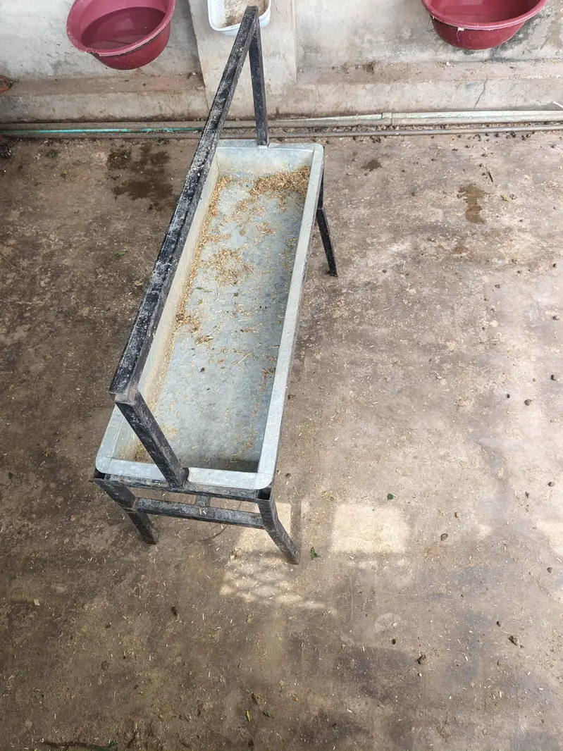 2 kurliyan for sale — photo 2