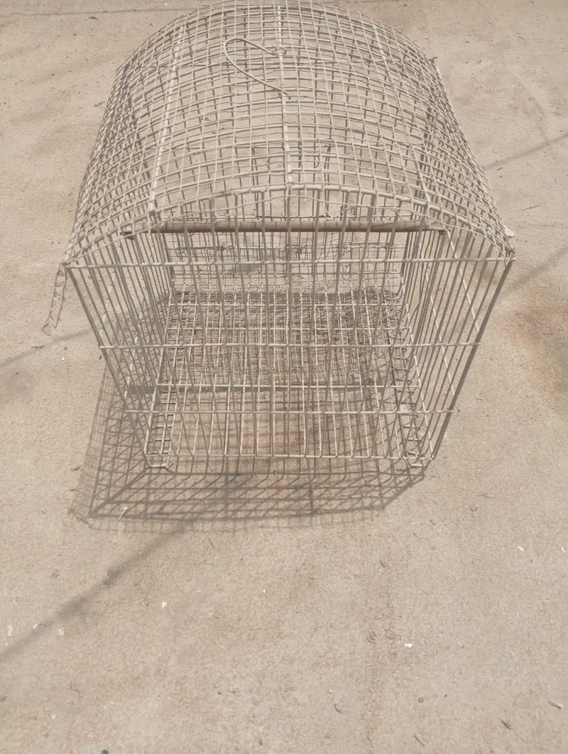 Cage for Sale 1.5x1 Size Good Condition like new — photo 3