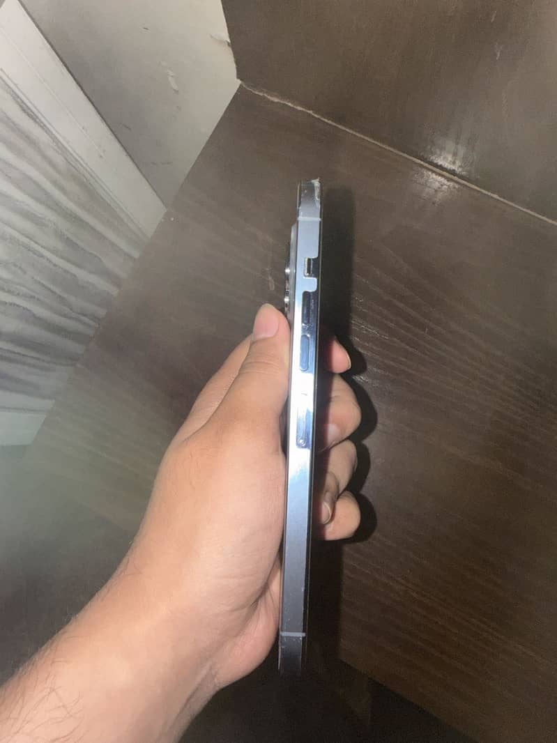 Apple iPhone 13 Pro Max 1