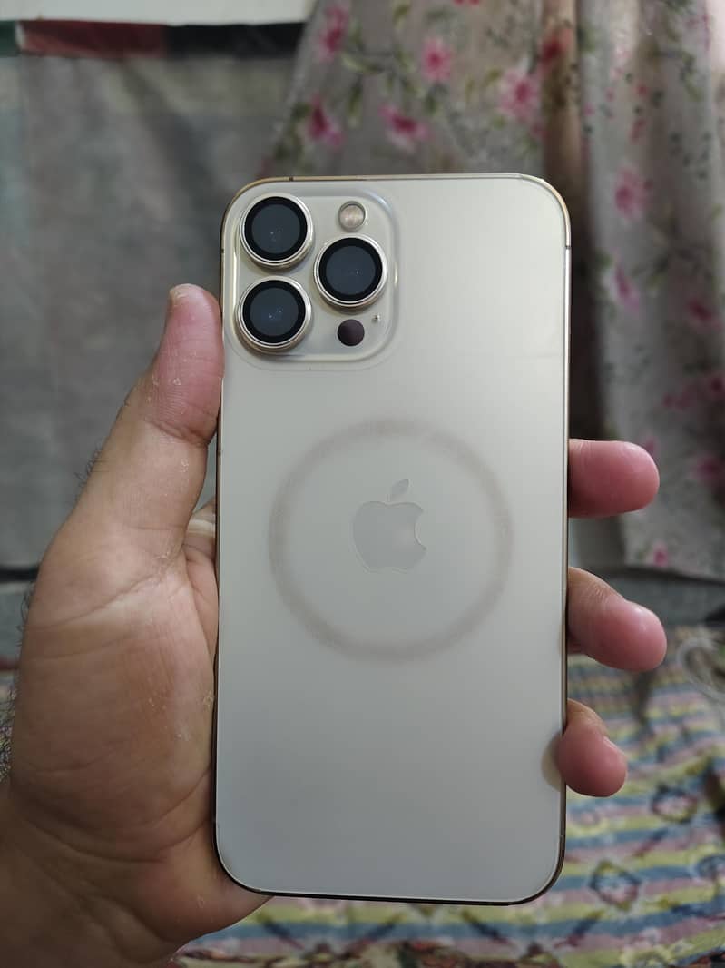 Apple iPhone 13 Pro Max 1