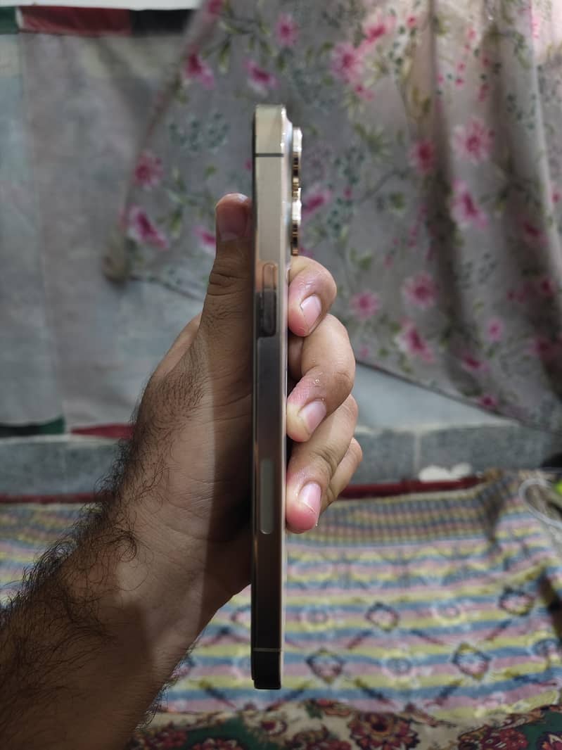 Apple iPhone 13 Pro Max 4