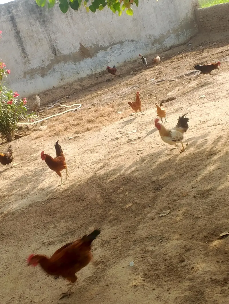 a class — photo 3
