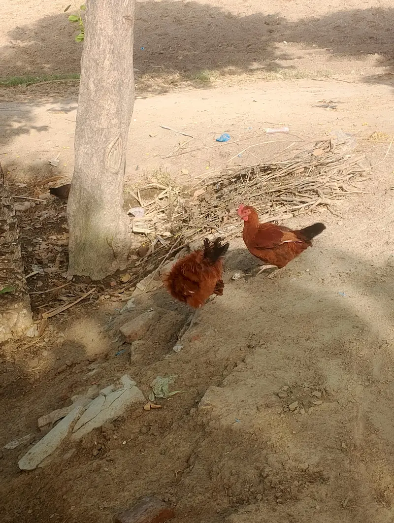 a class — photo 4