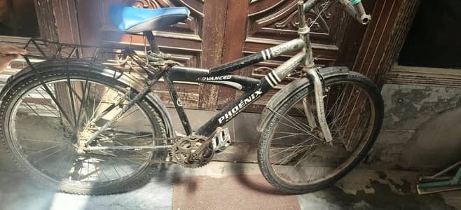 Phoenix Advanced Bicycle for Sale Best Bicycle for Daily Use