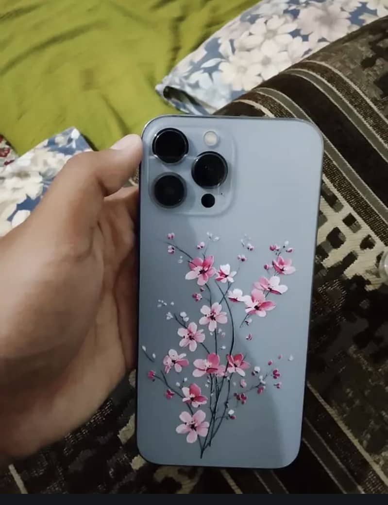 Apple iPhone 13 Pro Max 0