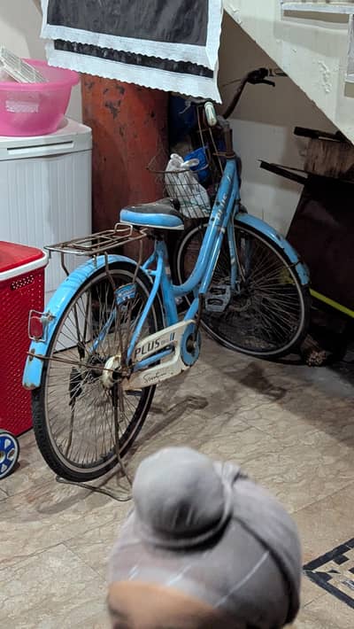 lady sycle for sale