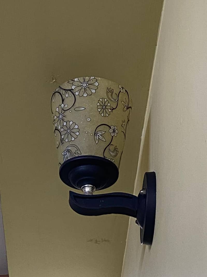 Fancy lighta 3