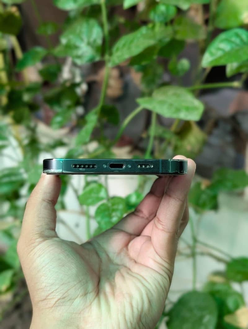 Apple iPhone 13 Pro Max 1