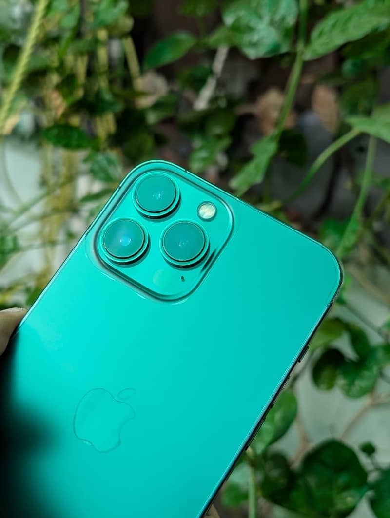 Apple iPhone 13 Pro Max 3