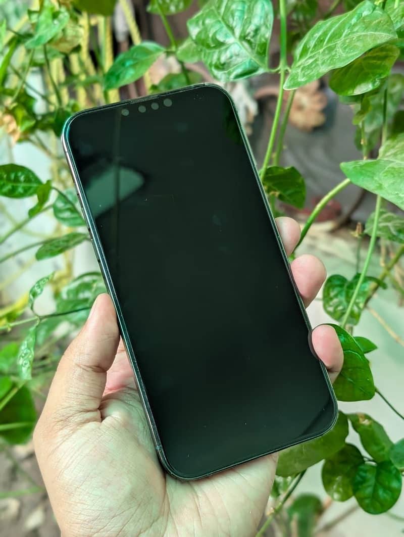 Apple iPhone 13 Pro Max 10