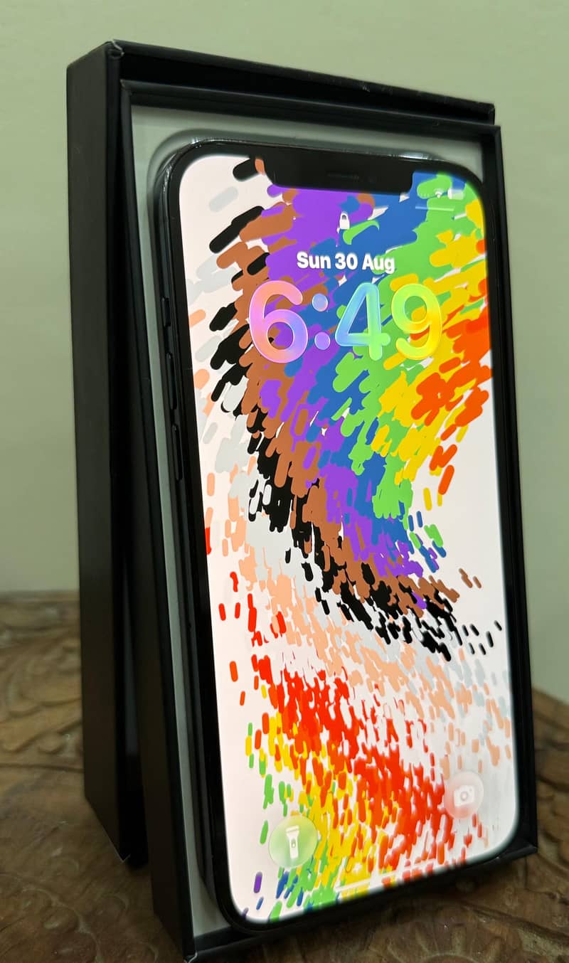 Apple iPhone 12 Pro Max 1