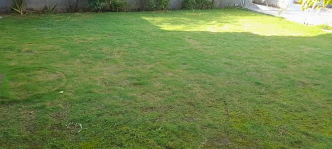 Habibullah Colony 6.5marla Plot For Sale