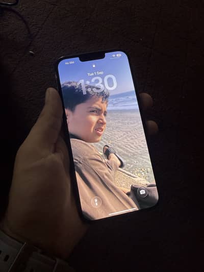 iPhone 13 Pro Max