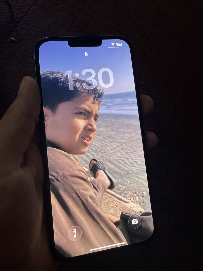 iPhone 13 Pro Max 1