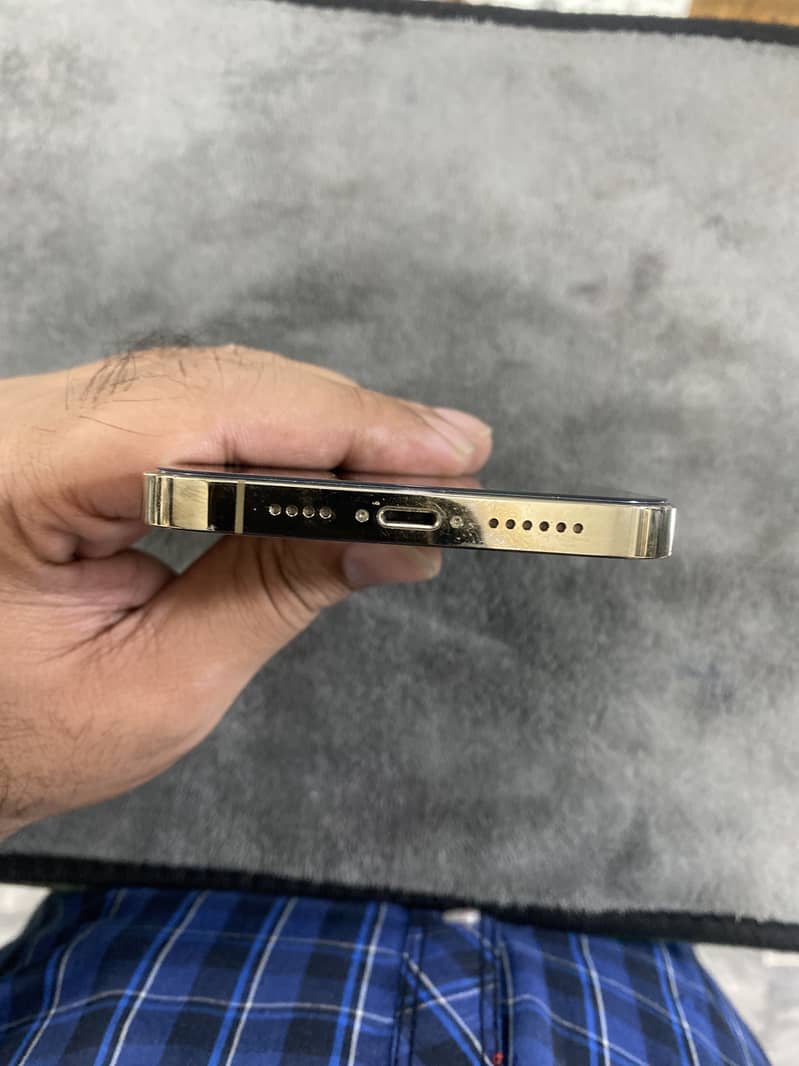 Apple iPhone 13 Pro Max 2