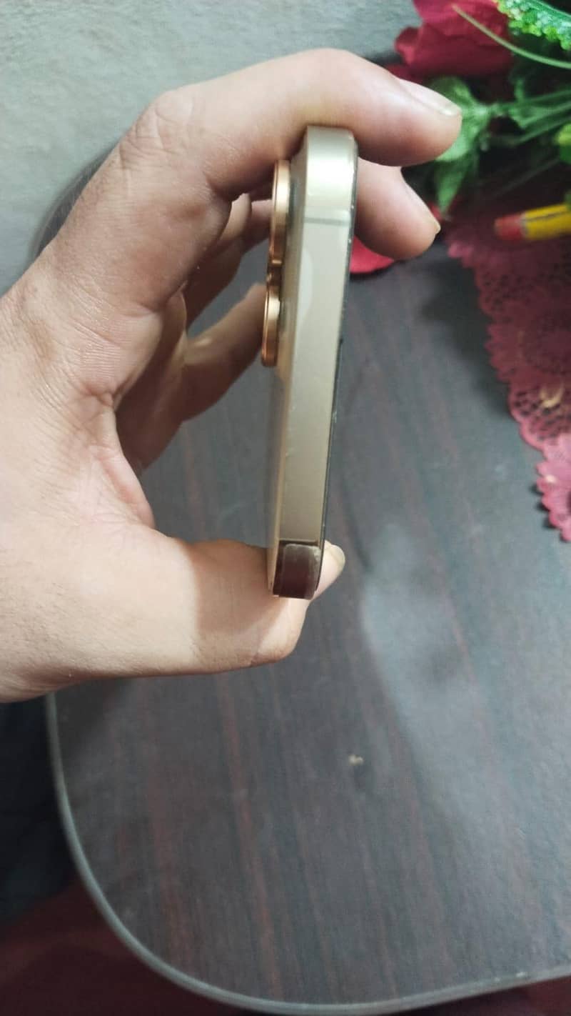 Apple iPhone 13 Pro Max 1