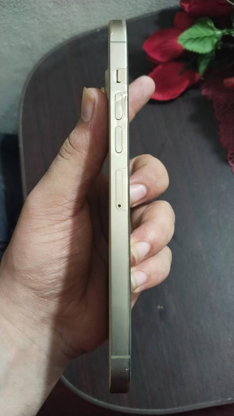 Apple iPhone 13 Pro Max 2