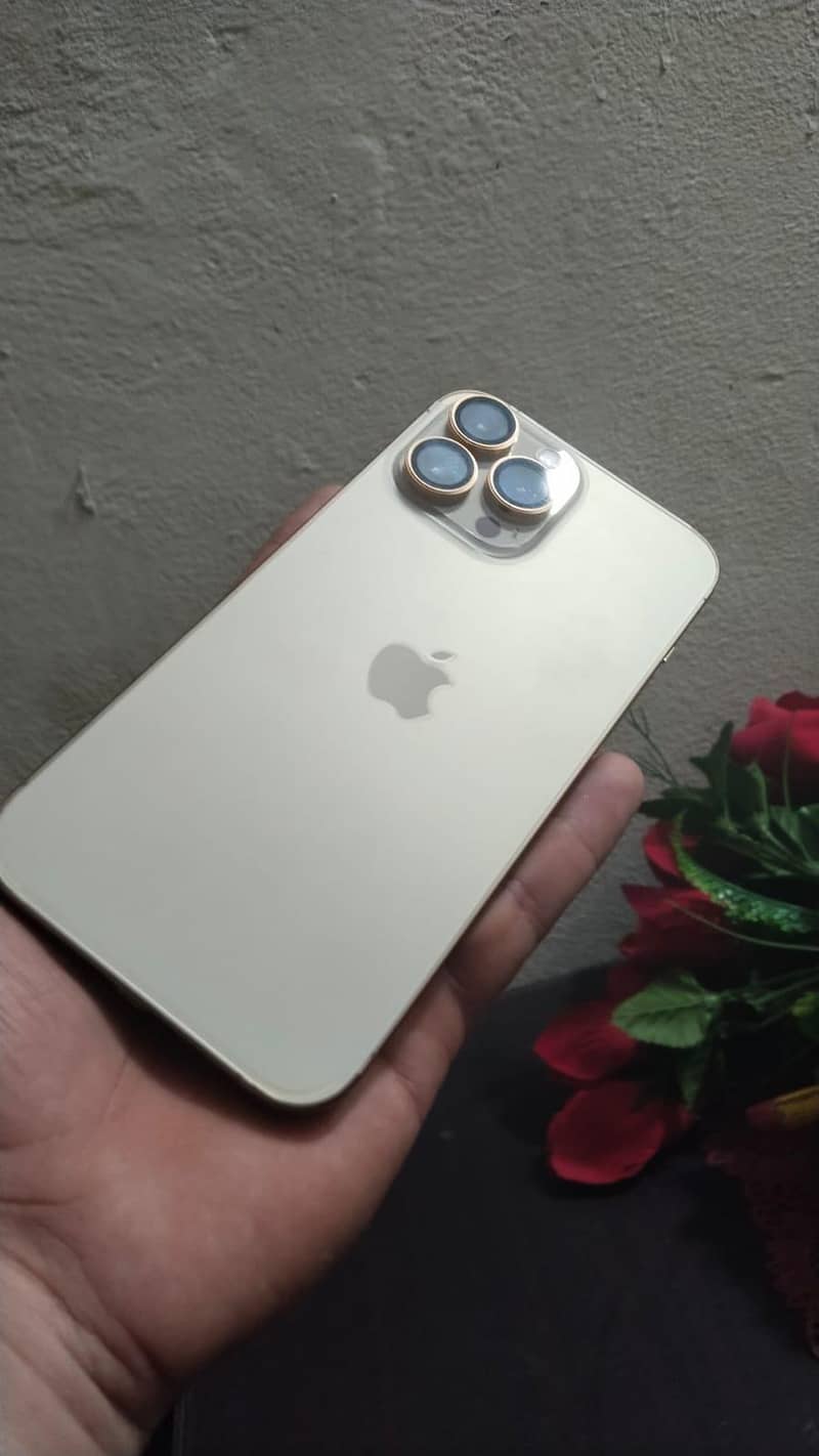 Apple iPhone 13 Pro Max 6
