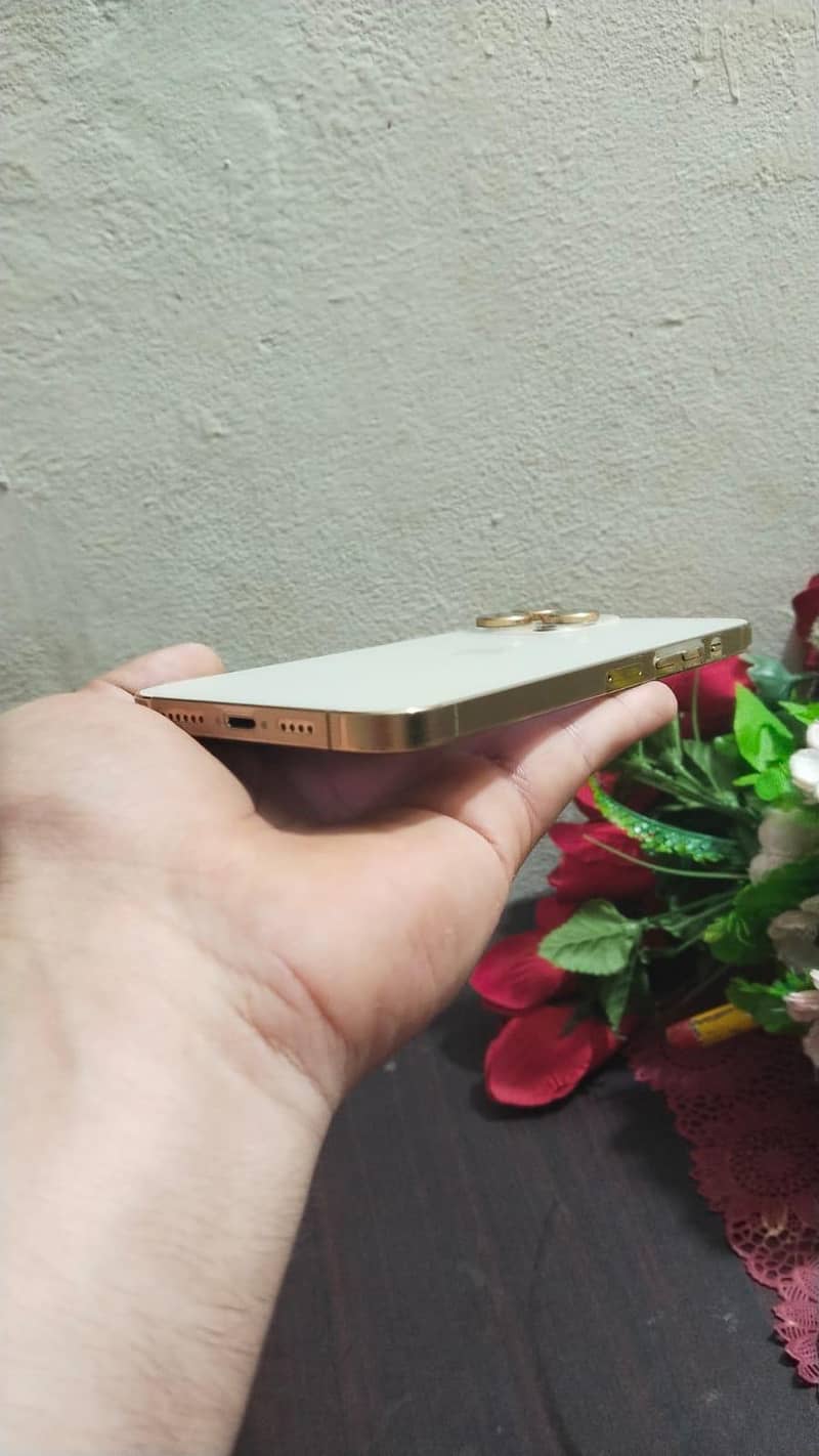 Apple iPhone 13 Pro Max 7