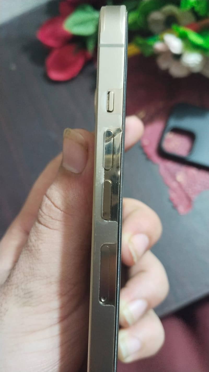 Apple iPhone 13 Pro Max 9