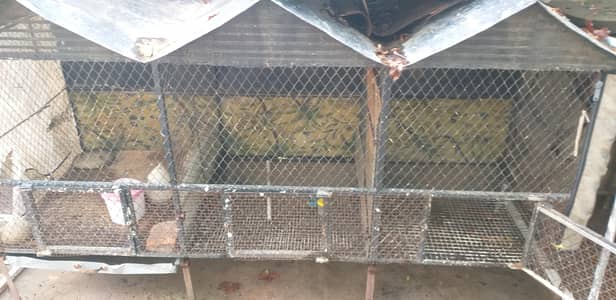 3 in 1 cage 2 hens pairs can easily live in 1 cage