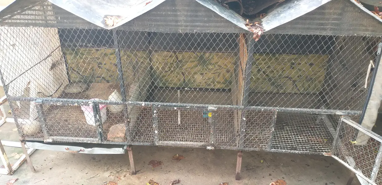 3 in 1 cage 2 hens pairs can easily live in 1 cage — photo 2