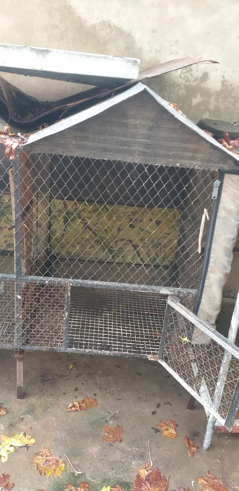 3 in 1 cage 2 hens pairs can easily live in 1 cage — photo 3