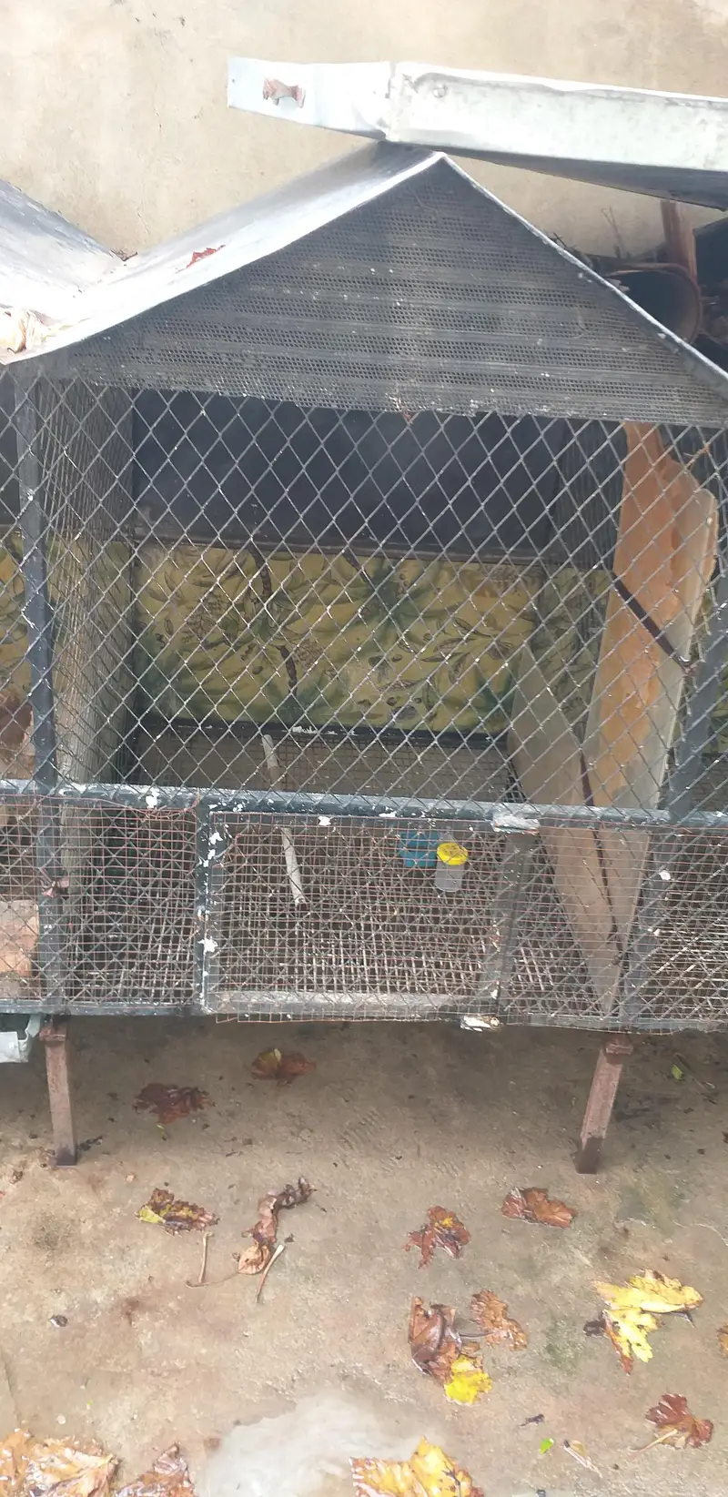 3 in 1 cage 2 hens pairs can easily live in 1 cage — photo 4